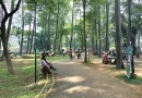Tebet Eco Park Oase Hijau di Tengah Hiruk Pikuk Jakarta